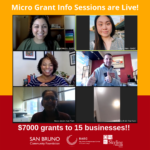 BAEC Micro Grants